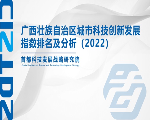 日东北胖女人的大黑庇【成果发布】广西壮族自治区城市科技创新发展指数排名及分析（2022）